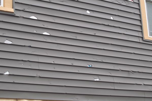 Damaged Siding Replacement in Gig Harbor